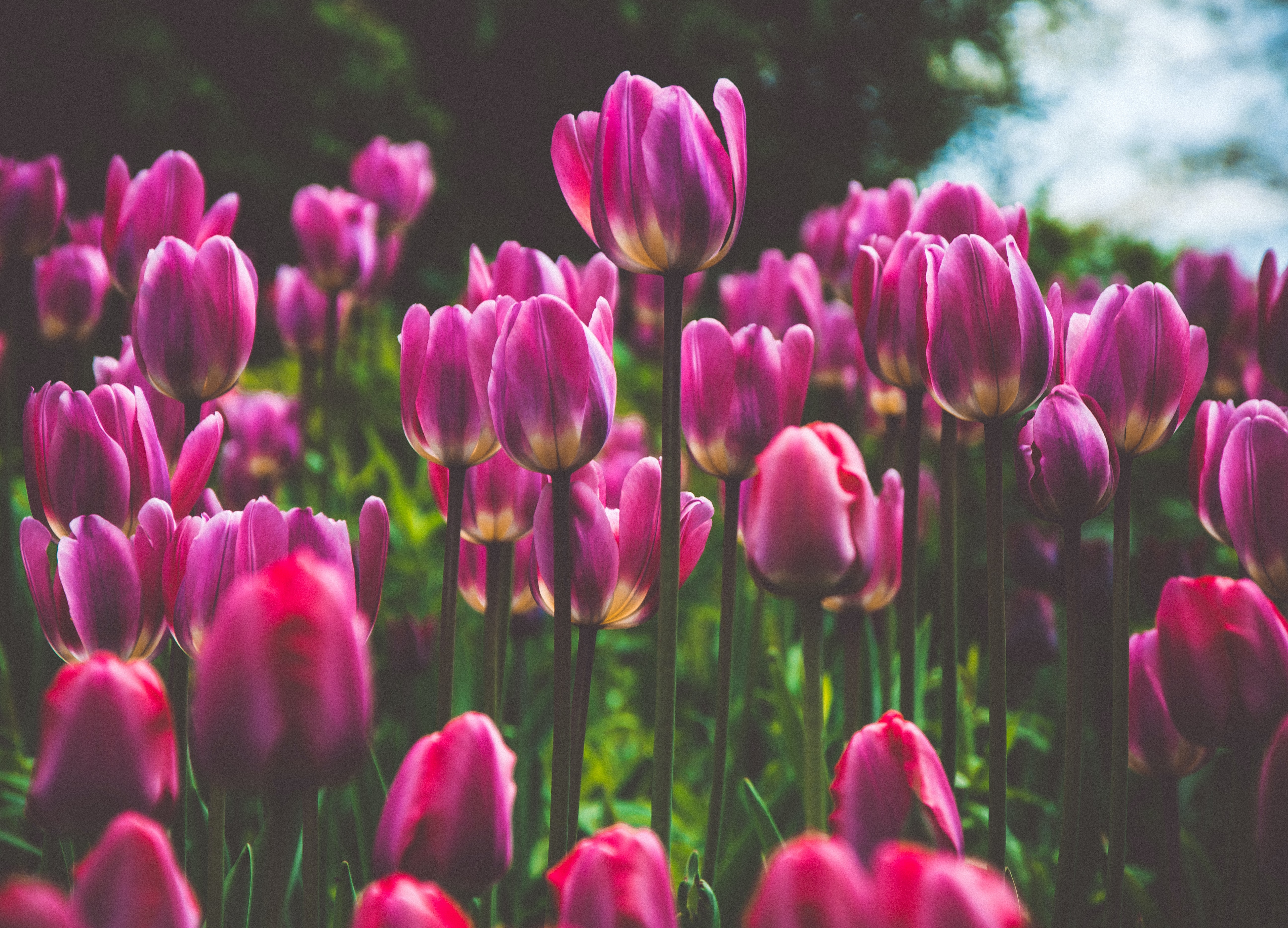 システム改修の工数について